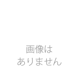 からだすこやか茶【350ml×24本入1ケース】